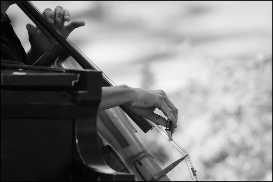 Art and Documentary Photography - Loading Cello-2-BWw.jpg