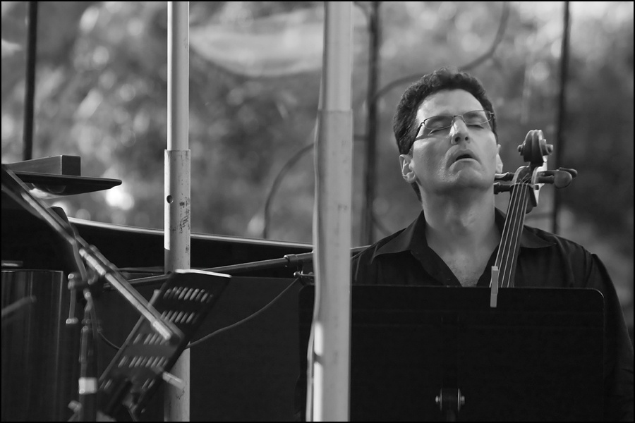 Art and Documentary Photography - Loading Cello-1W.jpg