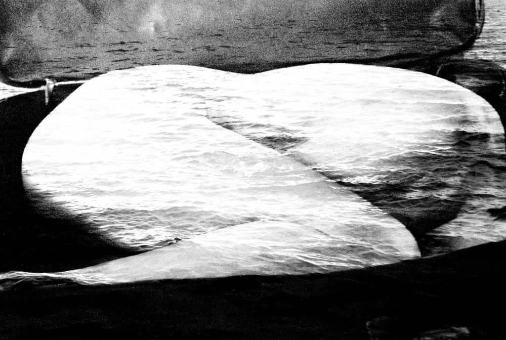 Art and Documentary Photography - Loading El viaje0001_resize_resize.jpg