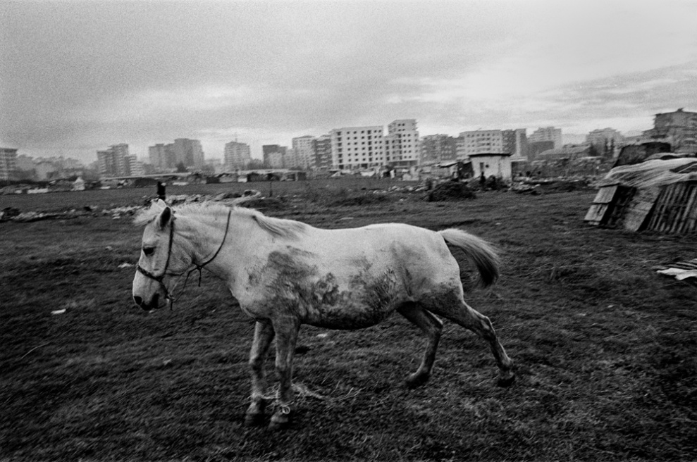 Art and Documentary Photography - Loading 060 Prolaz_Albania,Tirana 2011.jpg