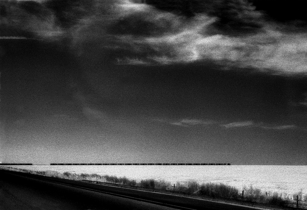 Art and Documentary Photography - Loading Grapevine, Ca. 5a.jpg