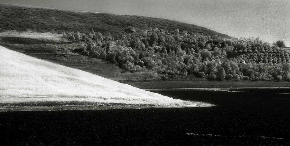 Art and Documentary Photography - Loading Conejo Valley, Ca 2.jpg