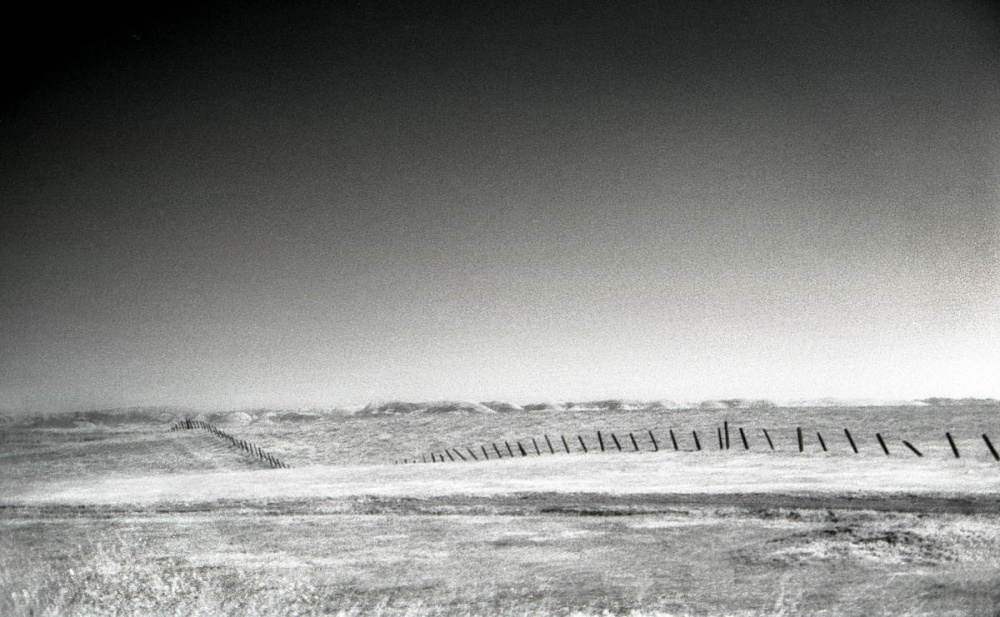 Art and Documentary Photography - Loading Near Santa Maria, Ca 3.jpg