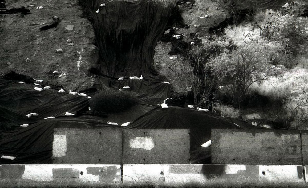 Art and Documentary Photography - Loading Riverside Dr, Los Angeles, Ca.jpg