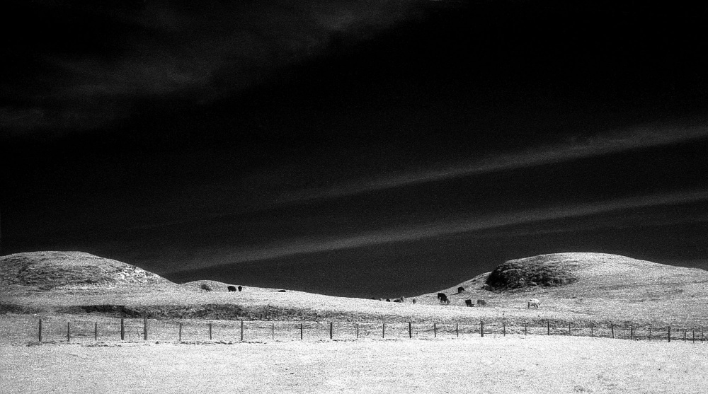Art and Documentary Photography - Loading Swanton, Ca 2.jpg