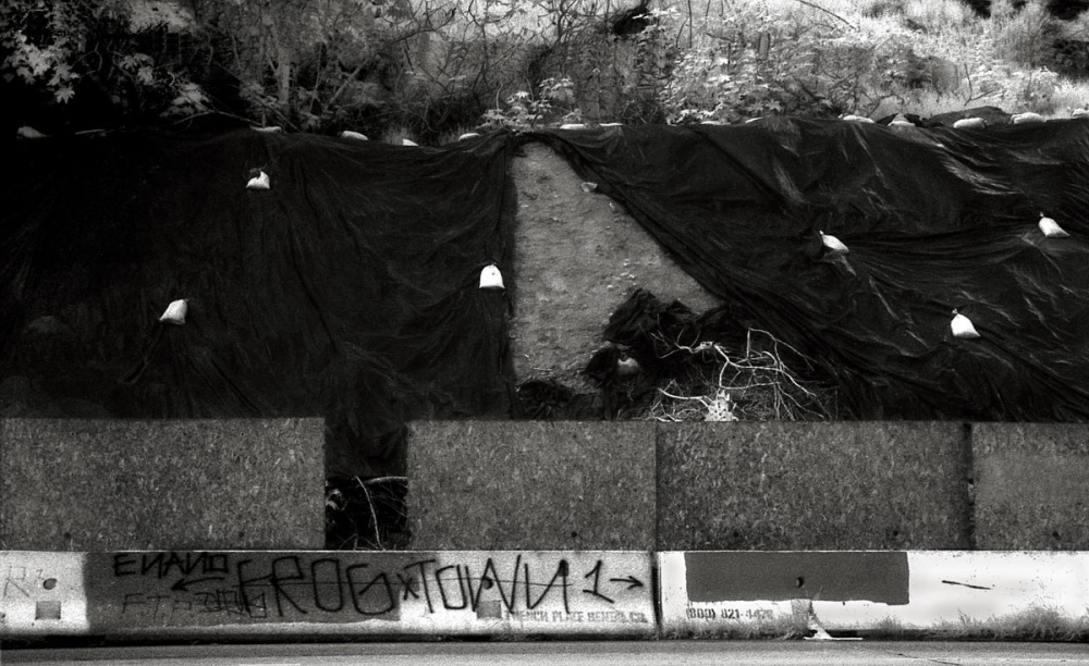 Art and Documentary Photography - Loading Riverside Dr, Los Angeles, Ca 2.jpg