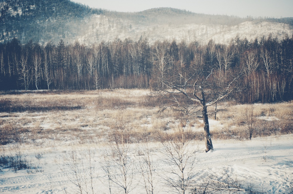 Art and Documentary Photography - Loading siberia (31 of 44).jpg
