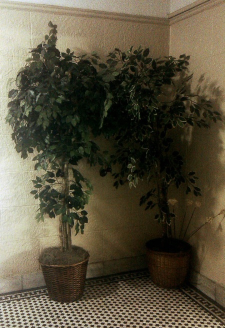 Art and Documentary Photography - Loading IMAG0217s.jpg
