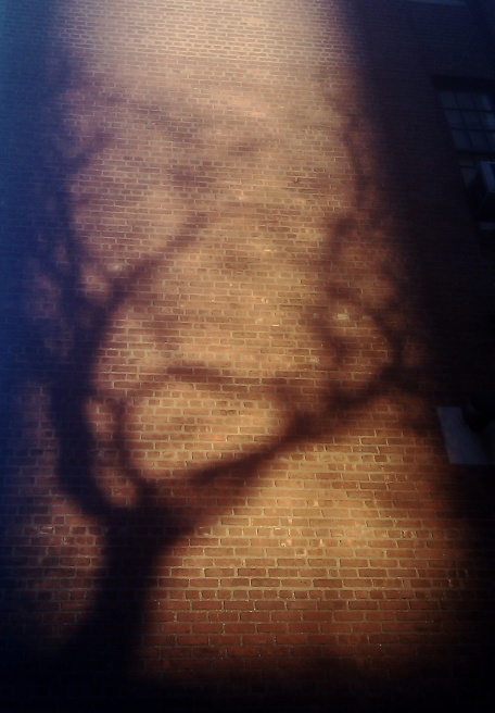 Art and Documentary Photography - Loading IMAG0358mod.jpg