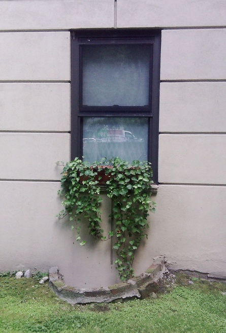 Art and Documentary Photography - Loading IMAG0590s.jpg