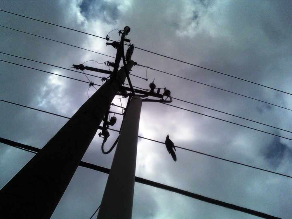 Art and Documentary Photography - Loading 0409091416.jpg