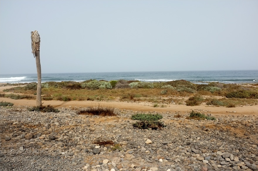 Art and Documentary Photography - Loading Playa13.jpg