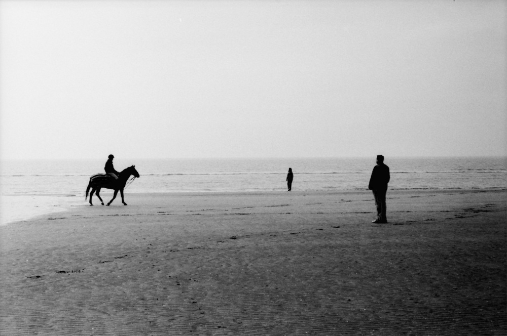 horse and people.jpg