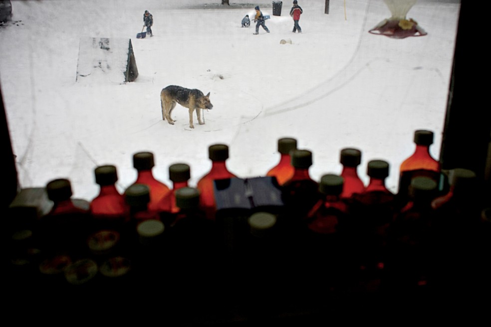Art and Documentary Photography - Loading MattEich-Ohio-03.JPG