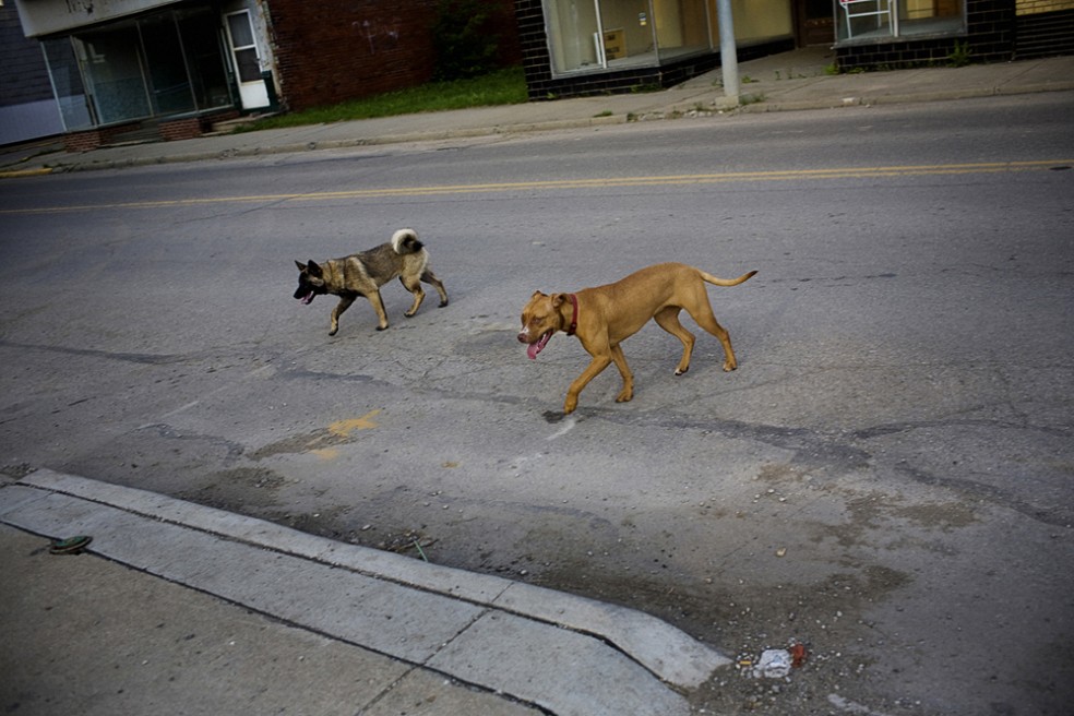 Art and Documentary Photography - Loading MattEich-Ohio-22.JPG