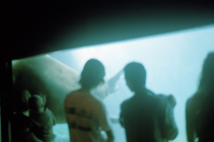 Art and Documentary Photography - Loading Briant02.jpg