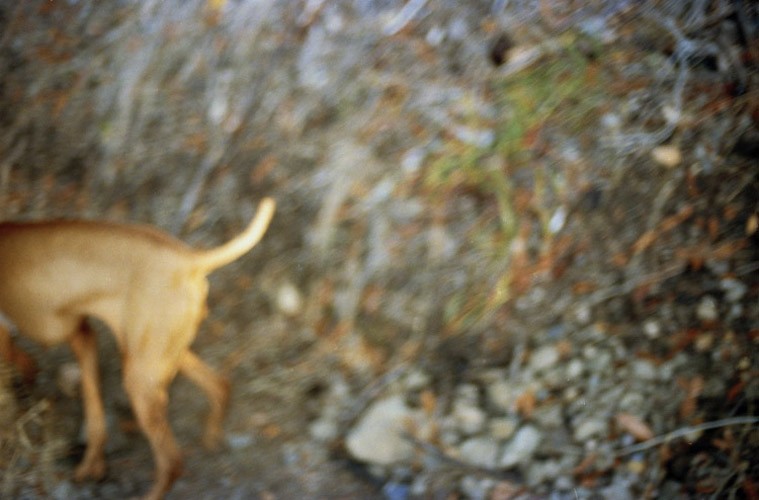 Art and Documentary Photography - Loading Briant06.jpg