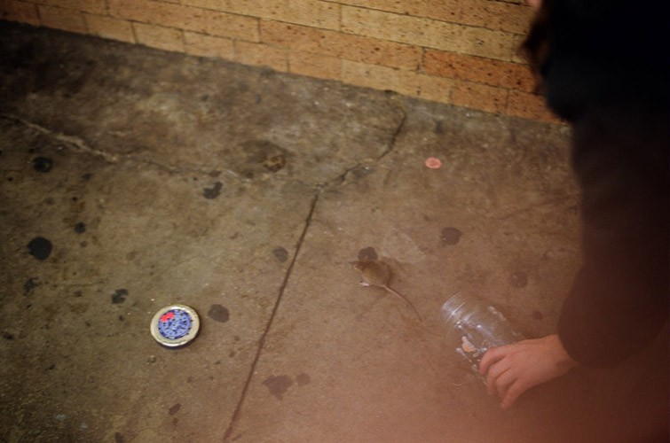 Art and Documentary Photography - Loading Briant09.jpg