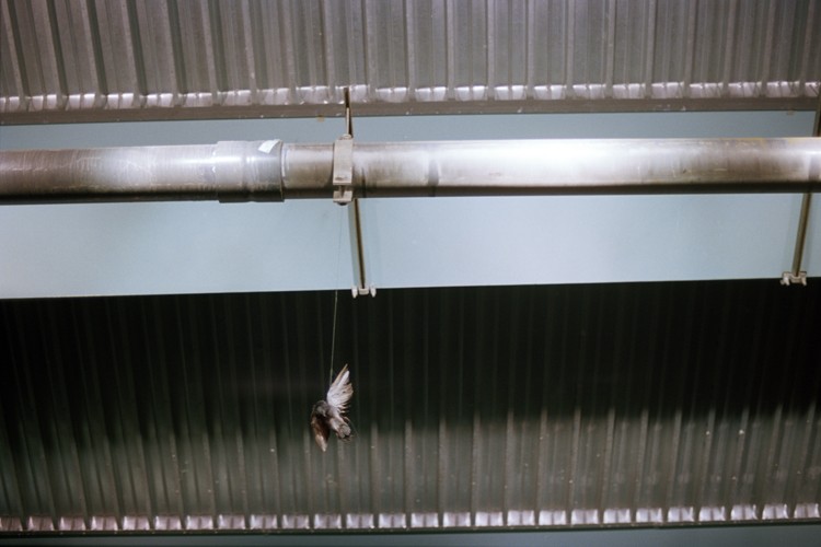 Art and Documentary Photography - Loading Briant31.jpg