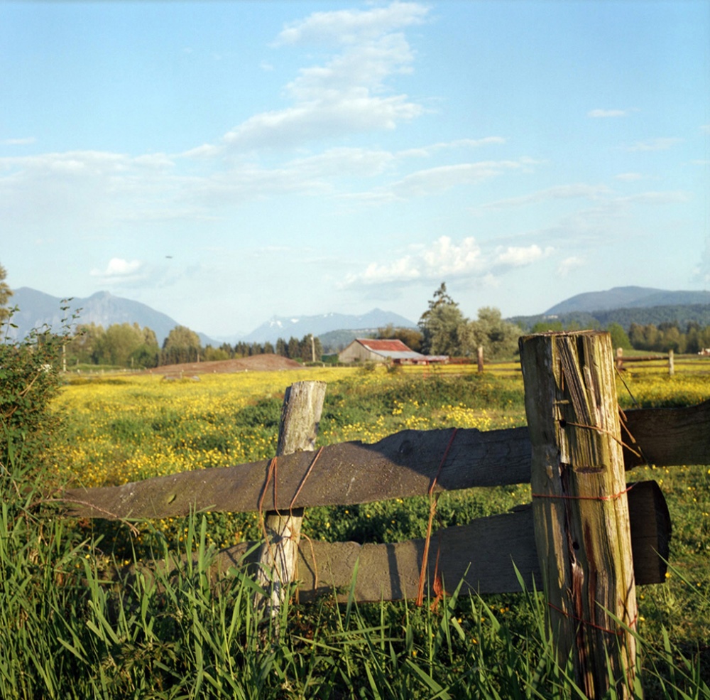 Art and Documentary Photography - Loading FarmField.jpg