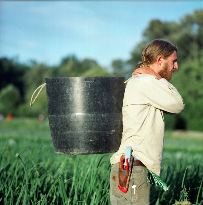 Art and Documentary Photography - Loading AdamWithHarvestBucket.jpg