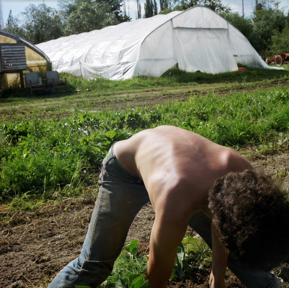 Art and Documentary Photography - Loading 21RibsDuringPlanting.jpg