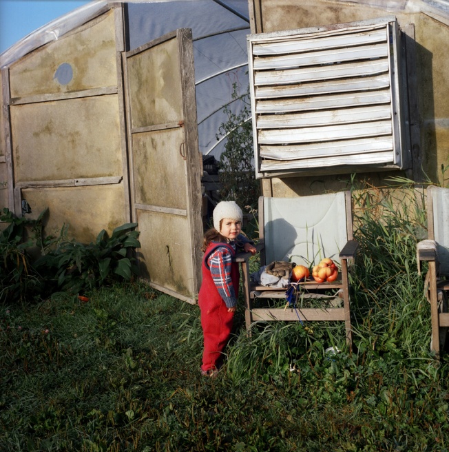 Art and Documentary Photography - Loading 18EdenOutsideGreenhouse.jpg